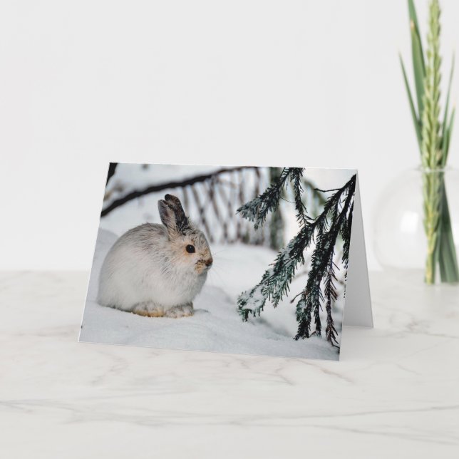 Naturscenen i Snö i Snowshoe Hare Winter Kort (Framsida)
