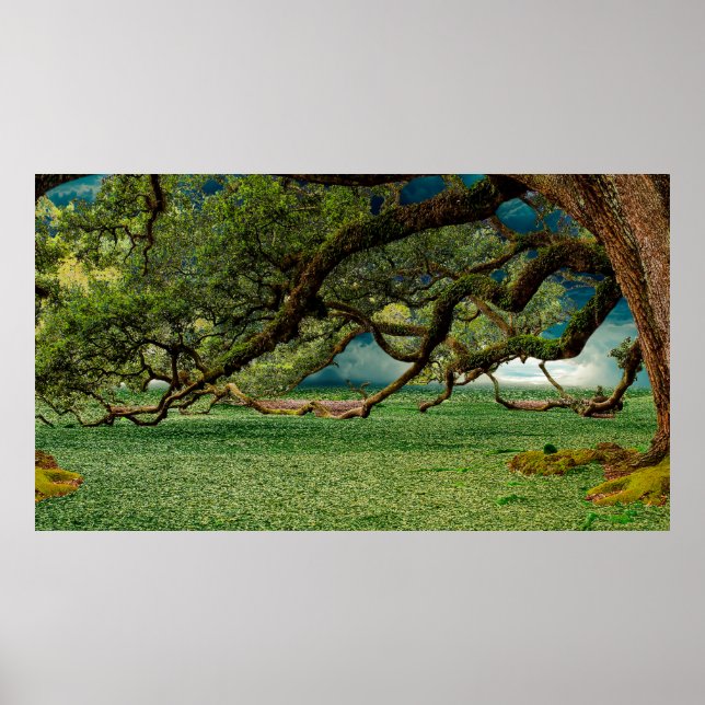 Naturskogar i träd löv poster (Framsidan)
