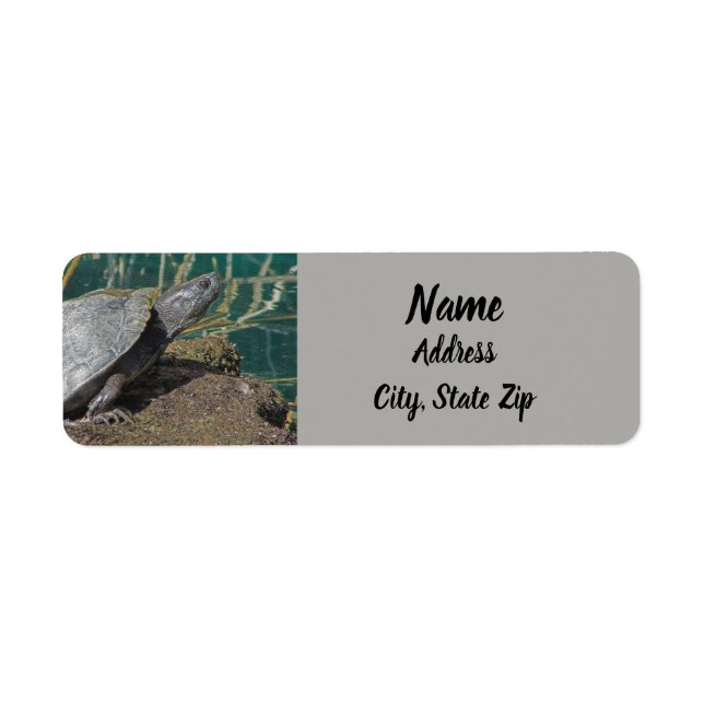 Natursköldpaddsfoto Reptile Sjö Animal Adress Returadress Etikett (Framsidan)