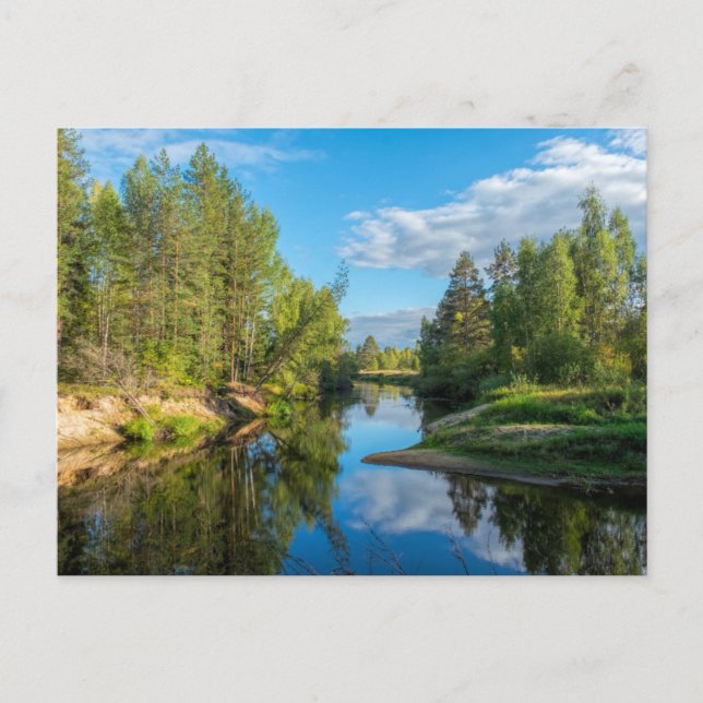 Naturskön bäck genom träd landsbygd vykort (Framsida)