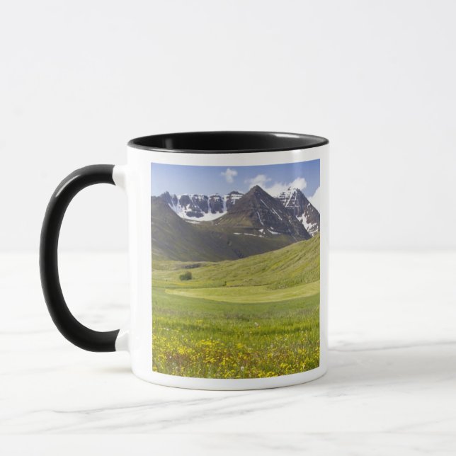 Naturskön landskap i Svarfadardalur dalen Mugg (Vänster)