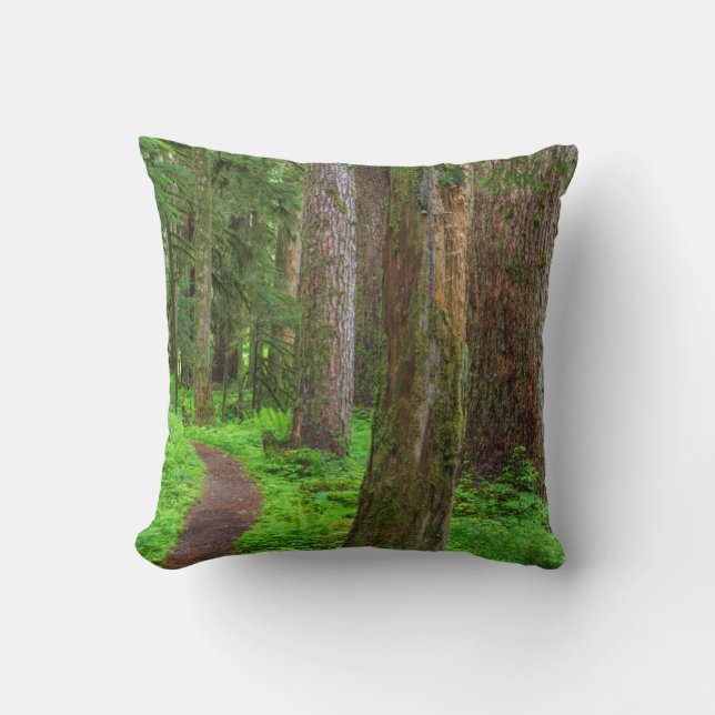 Naturskönhet av gammal skog kudde (Framsida)