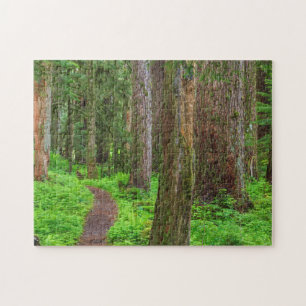 Naturskönhet av gammal skog pussel