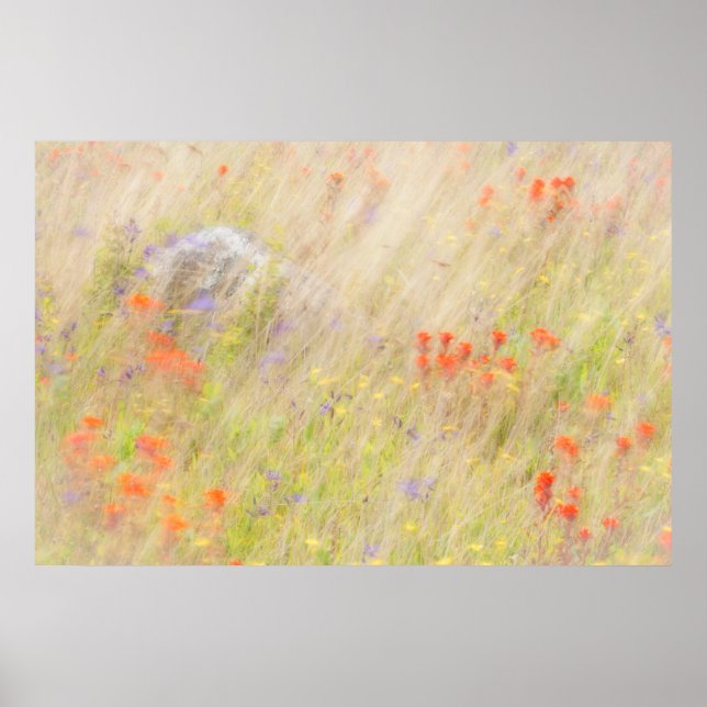 Naturskydd | San Juan-öarna, WA Poster (Framsidan)