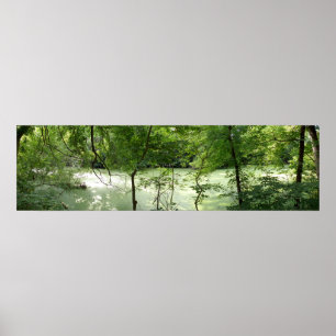 Natursvamp Poster