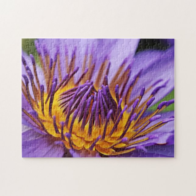 Naturtema Closetup Vatten Flower Closeup Pussel (Horisontell)