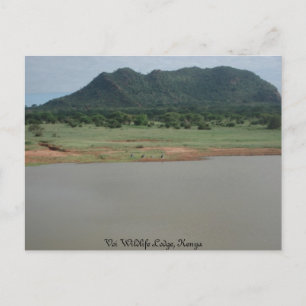 Naturvy från Voi wildlife Lodge i Kenya Vykort