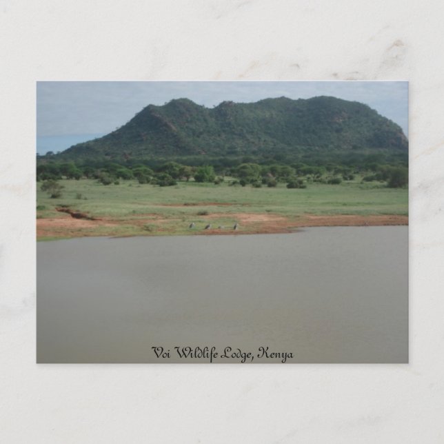 Naturvy från Voi wildlife Lodge i Kenya Vykort (Framsida)