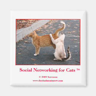 Nätverk för katter Magnet i social