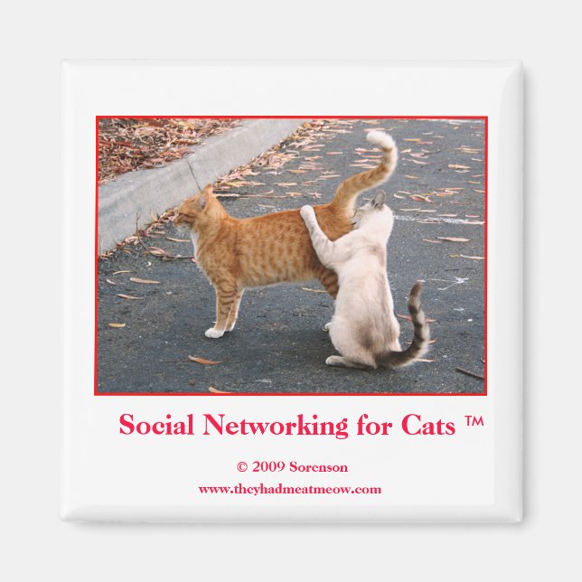 Nätverk för katter Magnet i social (Framsidan)