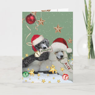 Naughn eller Nice Pudel-julkort Helgkort