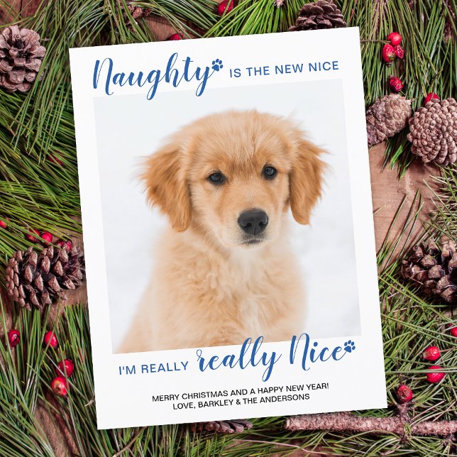 Naught Nice Lundny Blue Buffalo Play Pet Photo Helg Vykort (Skapare uppladdad)