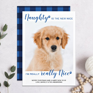 Naught Nice, underbart Blue Buffalo Play Pet Photo Julkort