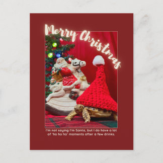 Naughty and Cute Jultortoise with Santa Vykort