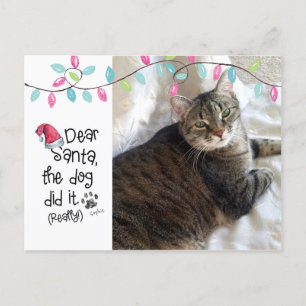 Naughty Cat Funny Kära Santa Brev Photo Cat Namn Helg Vykort