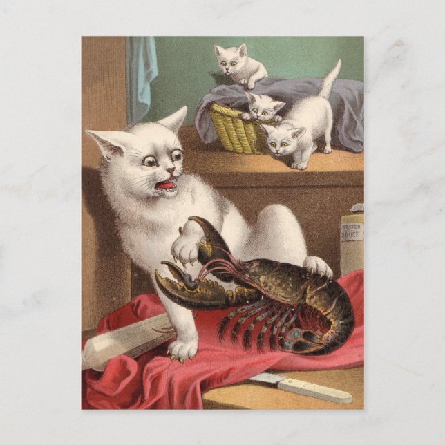Naughty cat & lobster vycard vykort (Framsida)