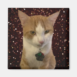 Naughty Cat Magnet