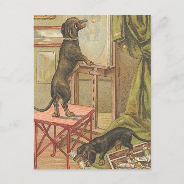 Naughty Dachshunds Postcard Vykort (Framsida)