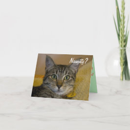 Naughty eller Nice Cat Card Helgkort