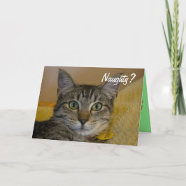 Naughty eller Nice Cat Card Helgkort