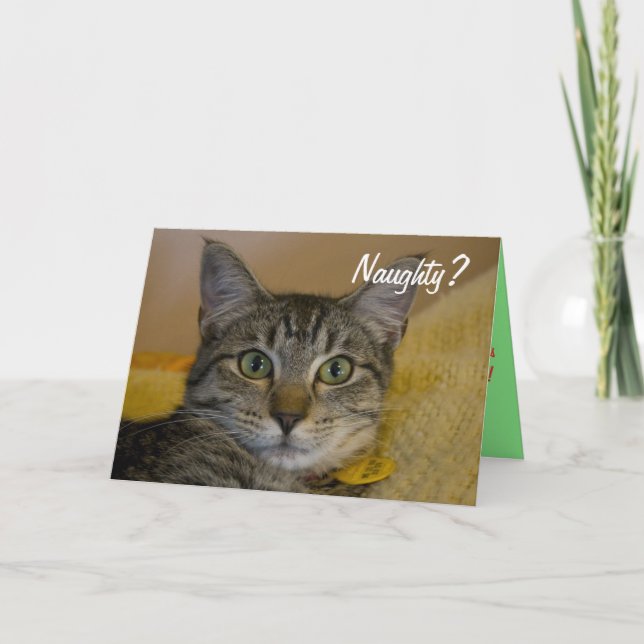 Naughty eller Nice Cat Card Helgkort (Framsida)
