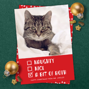 Naughty ELLER Nice ELLER både Funny Pet Helgdag Ph Julkort