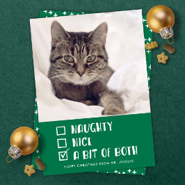 Naughty ELLER Nice ELLER både Funny Pet Helgdag Ph Julkort