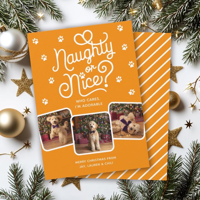 Naughty eller Nice Funny Cute Pet Hund Cat 3 Photo Julkort (Skapare uppladdad)