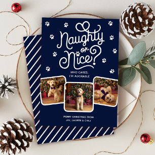 Naughty eller Nice Funny Cute Pet Hund Cat 3 Photo Julkort