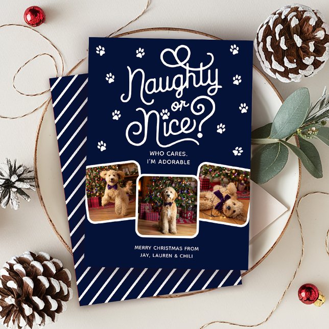 Naughty eller Nice Funny Cute Pet Hund Cat 3 Photo Julkort (Skapare uppladdad)