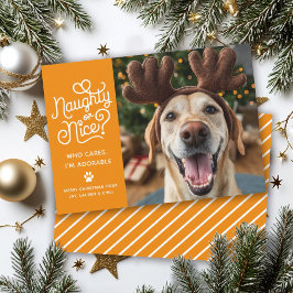 Naughty eller Nice Funny Cute Pet Hund Cat Photo Julkort