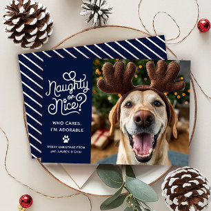Naughty eller Nice Funny Cute Pet Hund Cat Photo Julkort