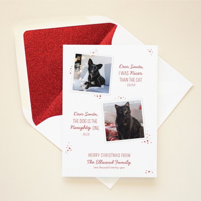 Naughty eller Nice Pet Funny julkort (Skapare uppladdad)