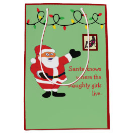 Naughty Girl Bad Santa Funny Joke Humor Roligt