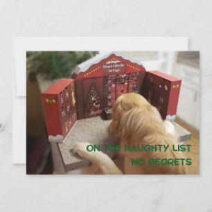 Naughty Golden Retriever No. Julkort