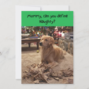 Naughty Golden Retriever Shredding Papper jul Julkort