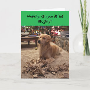 Naughty Golden Retriever Shredding Papper jul Kort