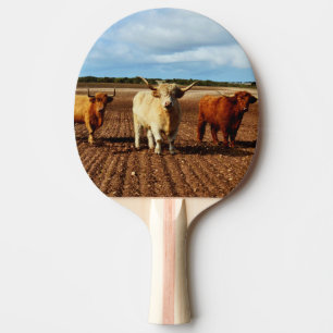 Naughty Highland Cows Pingisracket