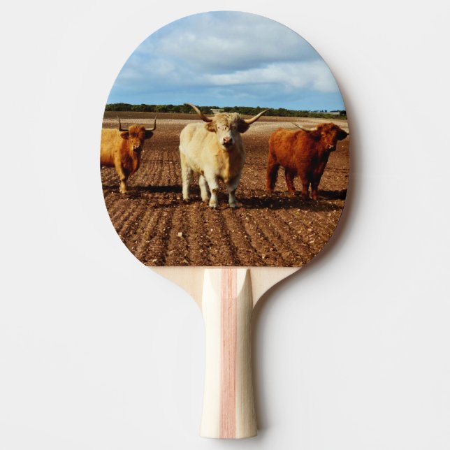 Naughty Highland Cows Pingisracket (Framsidan)