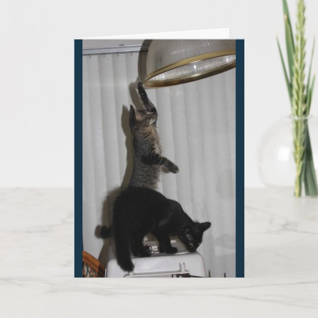 Naughty Kattunge Birthday Card Kort (Framsida)