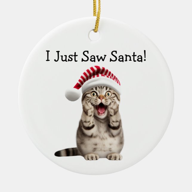 Naughty Kattunge jul-Roligten Katt Ornament (Framsidan)