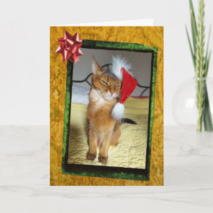 Naughty Kattunge julkort Helgkort