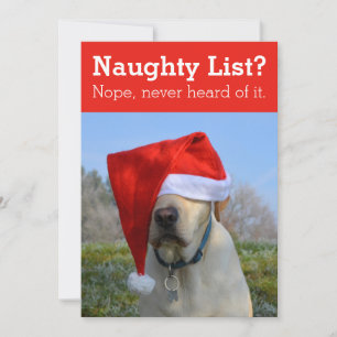 Naughty List? Aldrig hört det roliga fotot Julkort