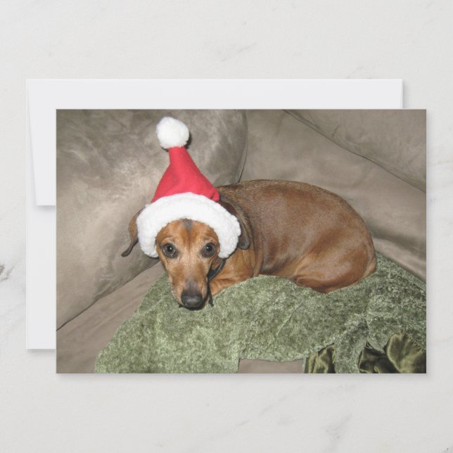 Naughty list - Ovillig Santa Dachshund Julkort (Framsida)