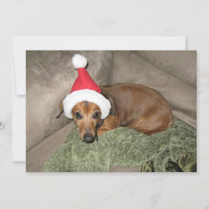 Naughty list - Ovillig Santa Dachshund Julkort