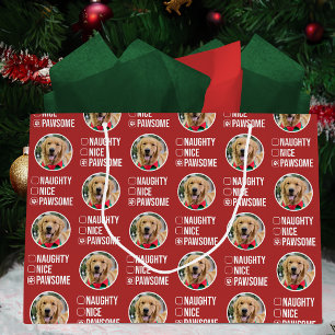 Naughty Nice Pawsome-jullista, Hund Photo