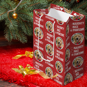 Naughty Nice Pawsome-jullista, Hund Photo