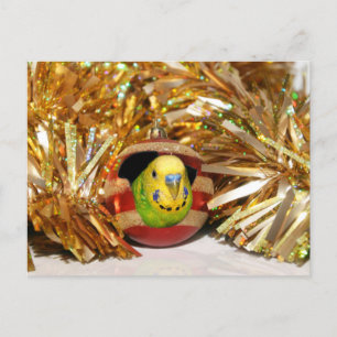 Naughty parakeet jul helg vykort