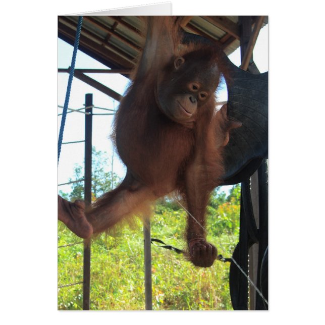 Naughty Primate Potty Break Hälsningskort (Framsidan)