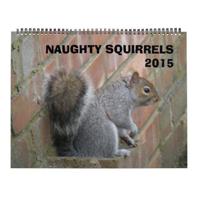 Naughty Squirrels 2015 Calendar Kalender (Omslag)